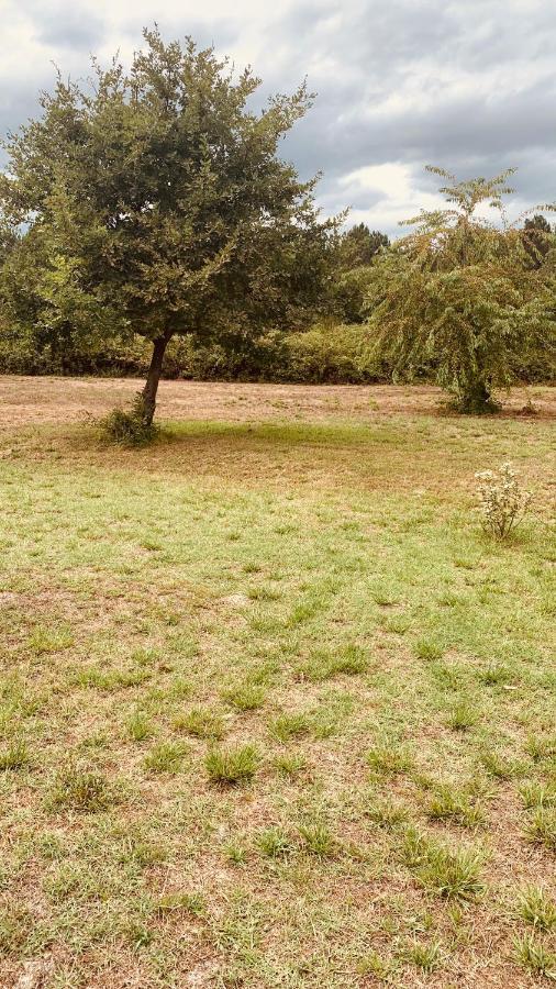 Petite Maison Dans La Prairie Cabanac-et-Villagrains المظهر الخارجي الصورة