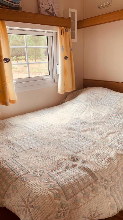 Petite Maison Dans La Prairie Cabanac-et-Villagrains المظهر الخارجي الصورة